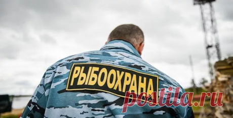 На что имеет право рыбохрана: могут ли они досматривать личный автомобиль? | Рыбалка-БЛОГ  | Яндекс Дзен