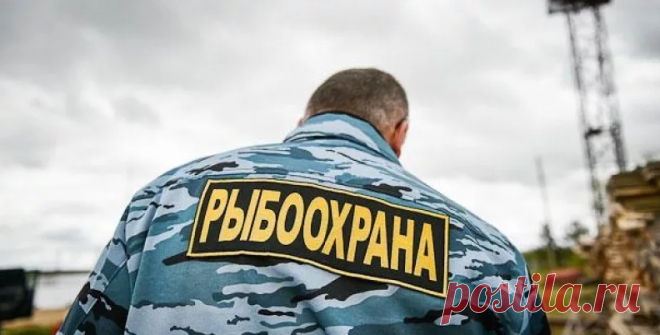 На что имеет право рыбохрана: могут ли они досматривать личный автомобиль? | Рыбалка-БЛОГ  | Яндекс Дзен