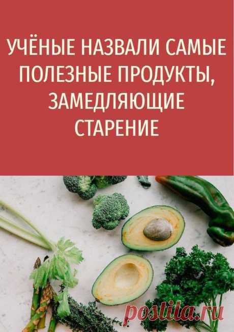 Учёные назвали самые полезные продукты, замедляющие старение