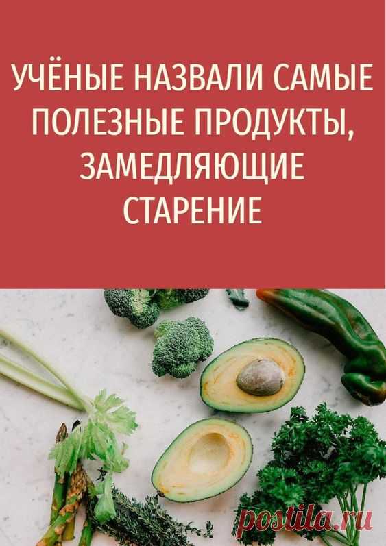 Учёные назвали самые полезные продукты, замедляющие старение