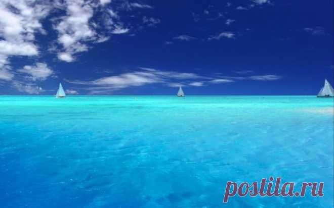 Красное море Красное море одно из чудес света. По сути это громадный залив, отделяющий Африку от Азии. Его площадь примерно 450000 кв.км. Происхождение названия не вполне ясно. Одни связывают его с цветом породы окружающих берегов, другие – с цветением водорослей, во время которого вода приобретает...
