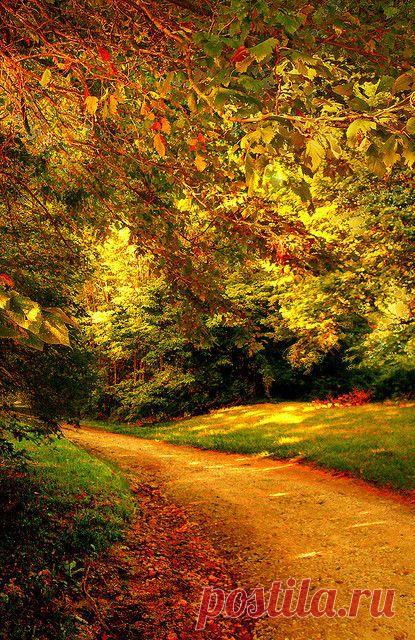 Merri Fernandez приколол(а) это к доске M♥ther Nature