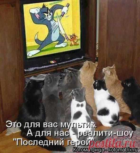 Хозяюшка, ты меня звала!? | Позитив в картинках и не только
