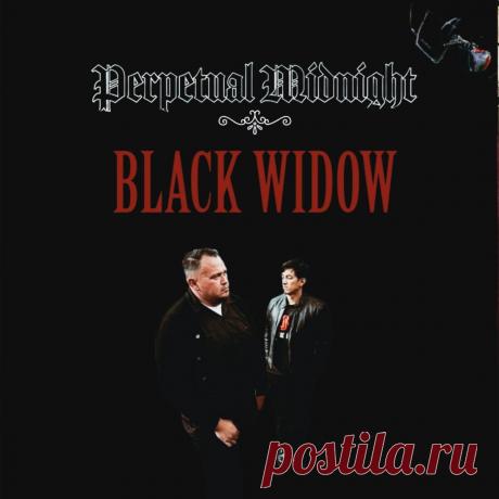 Perpetual Midnight - Black Widow (Single) (2025) 320kbps / FLAC