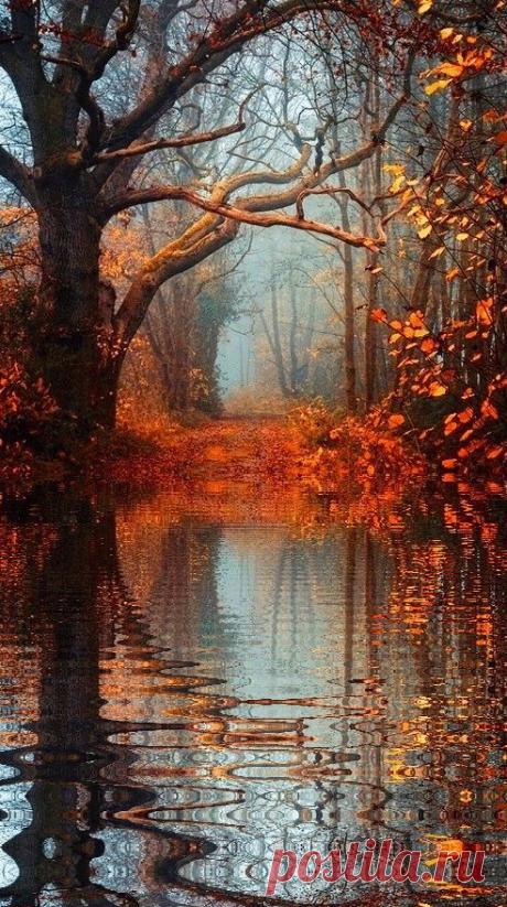 Beautiful Pictures Amazing