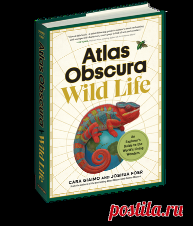 3lr3yd3lmundo's User Profile - Atlas Obscura