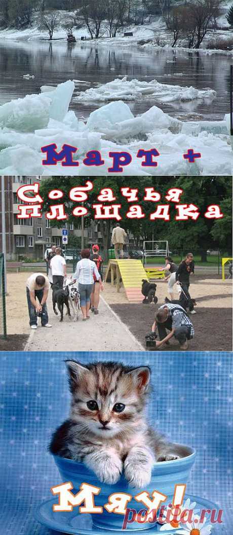 Головоломки | Записи в рубрике Головоломки | Учимся легко и весело!)))