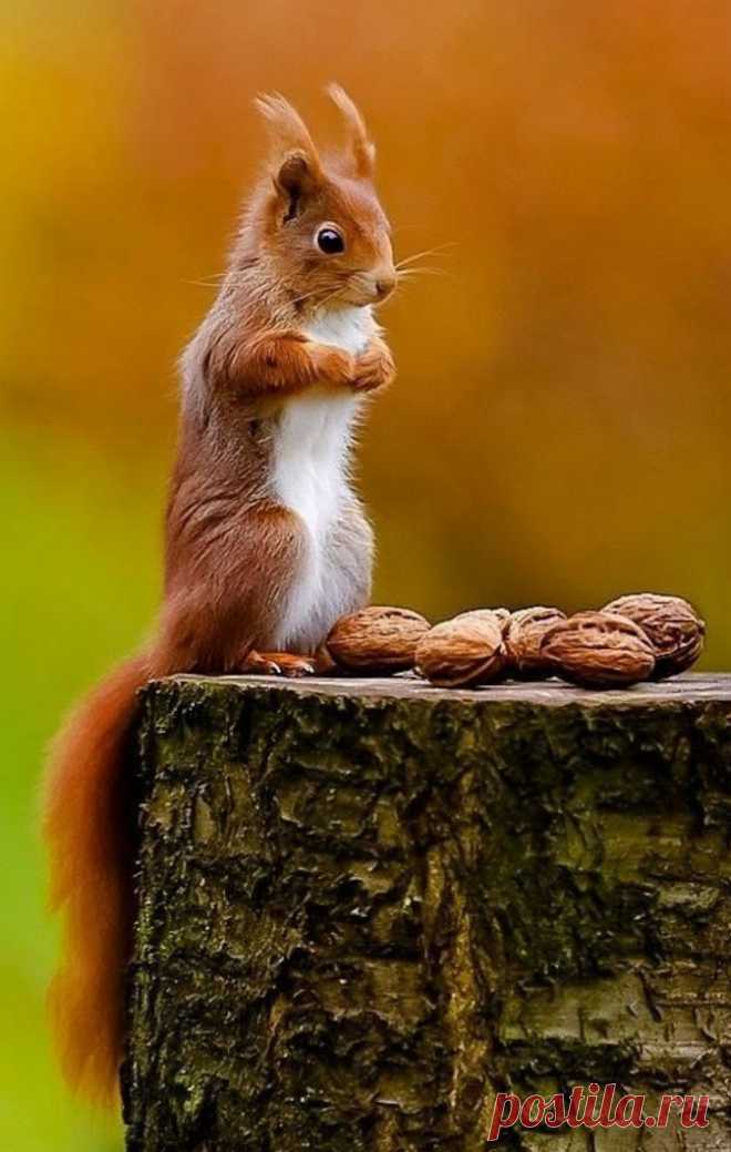Nice pic......