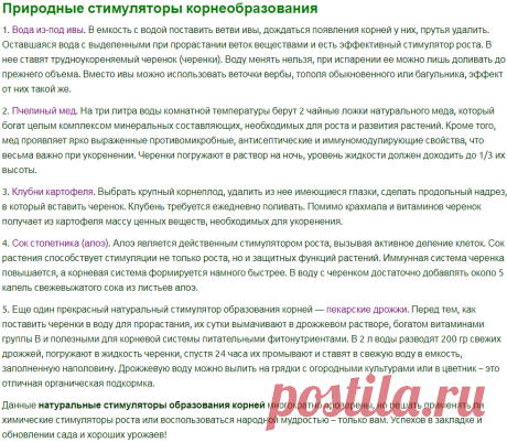 Натуральные стимуляторы образования корней | ЧАСТНЫЙ ДОМ. САД И ОГОРОД