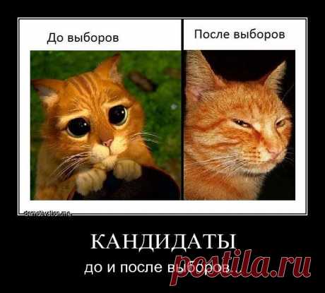 Здравствуйте, я ищу ответственных, целеустремленных людей для совмесного дополнительного дохода. Специальных навыков не надо, ваших вложений и денег тоже не надо. Мне одной тяжело, ищу партнера коллегу. Ограничения по возрасту, образованию, места проживания, пола нет (рассматриваются люди с ограниченными возможностями, способные работать на компьютере). Если вам интересны подробности, пишите в коментарии 5, отвечу всем в личке.