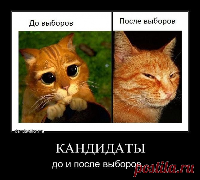 Здравствуйте, я ищу ответственных, целеустремленных людей для совмесного дополнительного дохода. Специальных навыков не надо, ваших вложений и денег тоже не надо. Мне одной тяжело, ищу партнера коллегу. Ограничения по возрасту, образованию, места проживания, пола нет (рассматриваются люди с ограниченными возможностями, способные работать на компьютере). Если вам интересны подробности, пишите в коментарии 5, отвечу всем в личке.