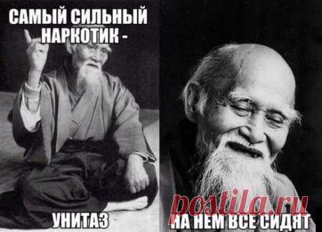 Отличные фото-приколы дня (61 шт)