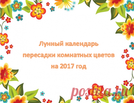 Лунный календарь пересадки комнатных растений на 2017 год