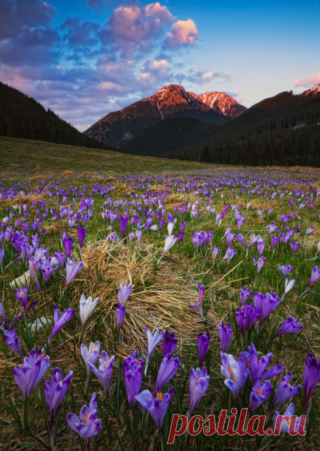 35PHOTO - Pawel Uchorczak - Spring in Tatra Mountains