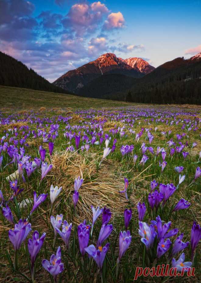 35PHOTO - Pawel Uchorczak - Spring in Tatra Mountains