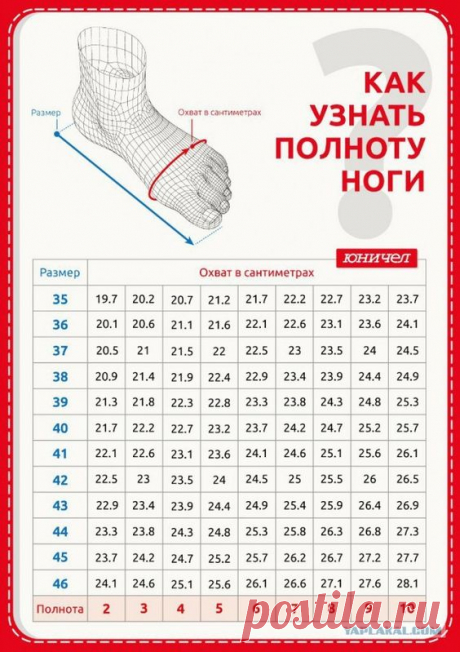 ТАПОЧКИ ДОМАШНИЕ | Записи в рубрике ТАПОЧКИ ДОМАШНИЕ | Дневник Belenaya