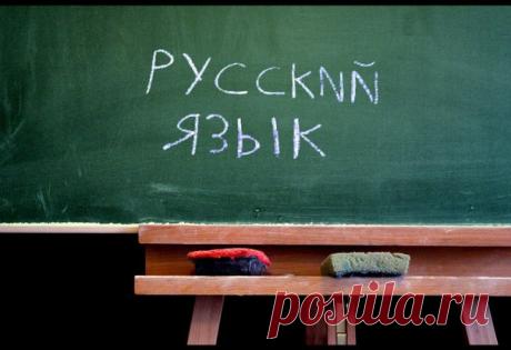 Что замечают за собой иностранцы, слишком долго живущие в России: