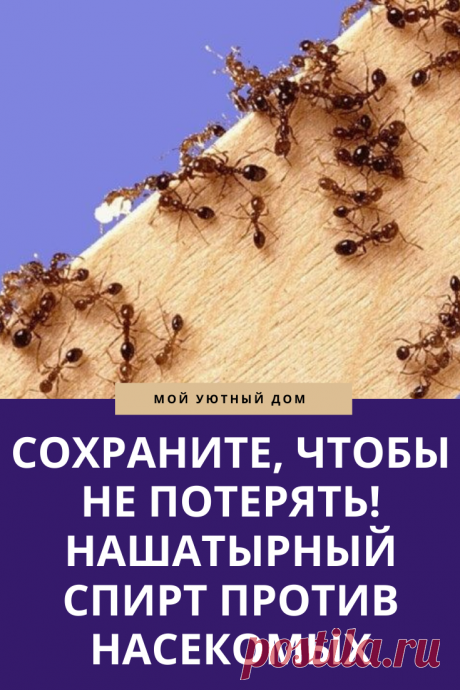 Избавляемся от насекомых с помощью нашатырного спирта