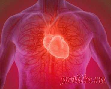 12 основных питательных веществ для здорового сердца!
Они необходимы не только для людей, имеющих проблемами с сердцем, но и для здоровых людей! Наиболее здоровым является поступление минералов в организм с пищей, так как это лучший способ воспользоваться ими. Например, в случае дефицита магния, являются признаками мышечного тремора или судорог. А в случае дефицита калия часто возникают усталость и запоры. Кроме того, дефицит […]
Читай дальше на сайте. Жми подробнее ➡