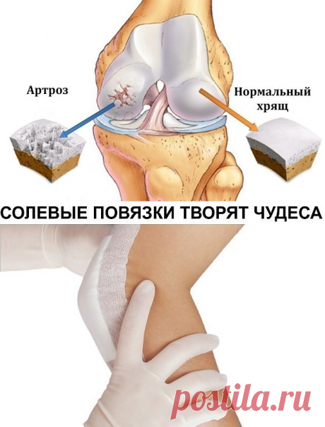 1 непрочитанный чат