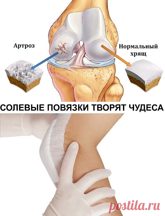 1 непрочитанный чат