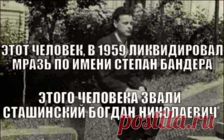 Дезинсектор — Новороссия