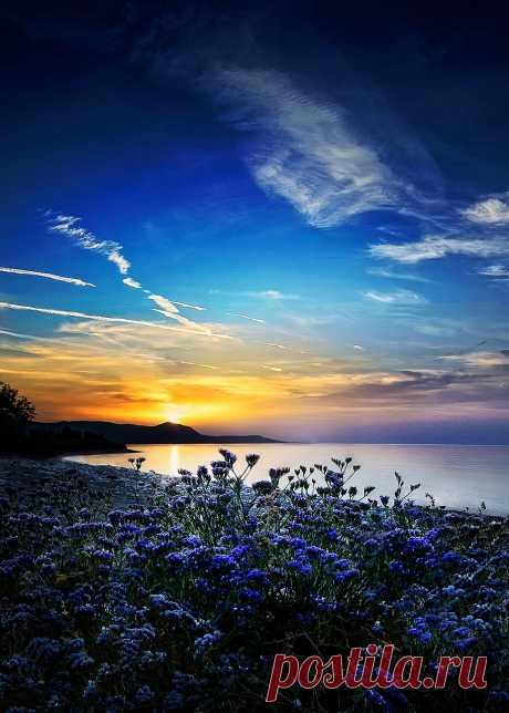 coiour-my-world:
“Sunset at Polis Bay ~ Albena Markova
”