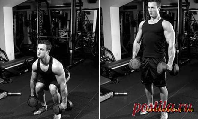 5 упражнений на спину с гантелями в домашних условиях | bestbodyblog.com