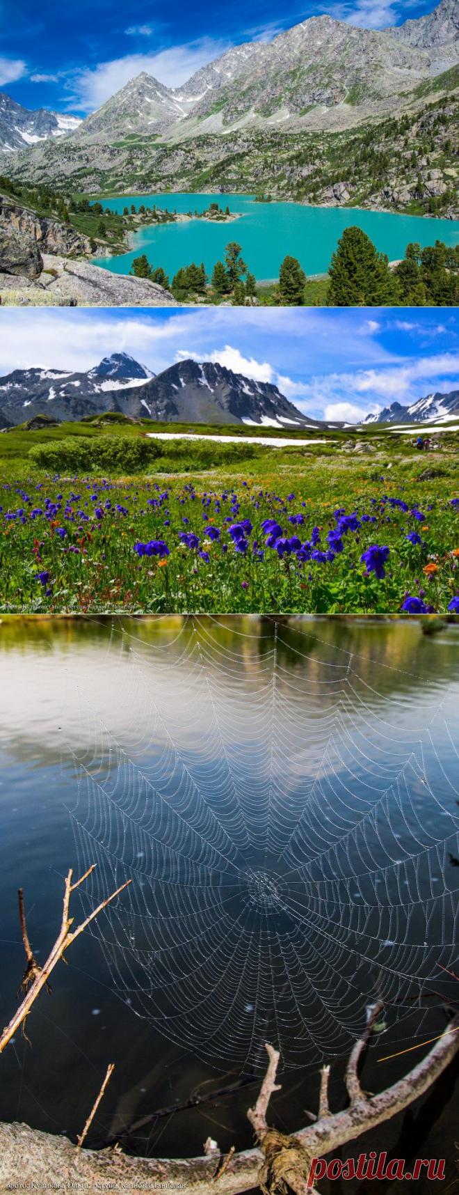 Пейзажи горного Алтая.