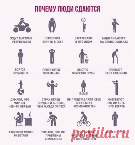 Невероятные факты