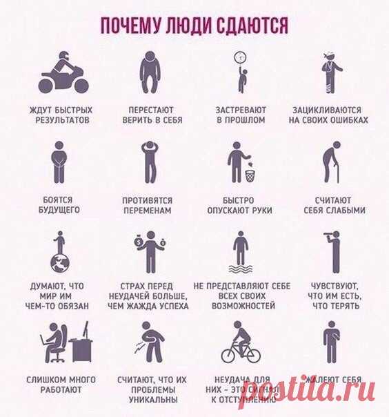 Невероятные факты
