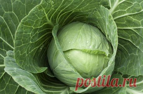 Біль в суглобах більше не турбує! Бабусин метод з підручних продуктів працює завжди. | ОТОЖ