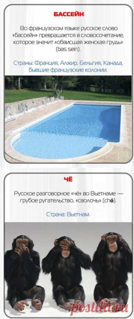 Русские слова, которые за границей превратятся в ругательства | ТАЙНЫ ВСЕЛЕННОЙ