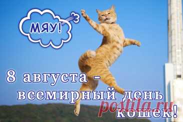 Всемирный день кошек!
Пусть каждый будет лаской окружен,
Мурлыкает пусть в каждом доме кошка,
И звуком этим будешь ты заворожен,
Глаза большие смотря из окошка.