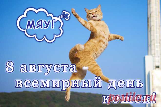 Всемирный день кошек!
Пусть каждый будет лаской окружен,
Мурлыкает пусть в каждом доме кошка,
И звуком этим будешь ты заворожен,
Глаза большие смотря из окошка.