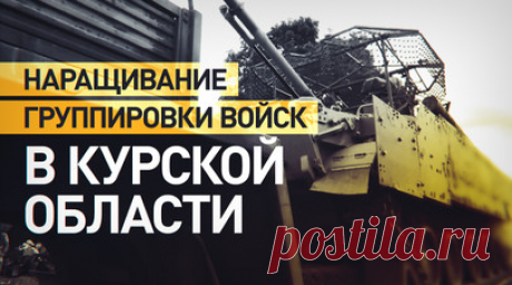 Минобороны РФ организовало доставку дополнительных сил и средств в Курскую область. Минобороны РФ показало кадры доставки в Курскую область дополнительных сил и средств для наращивания группировки войск и формирования резервов. Осуществляется подвоз личного состава, боевой техники, боеприпасов и других грузов, отметили в ведомстве. В пунктах сосредоточения войск развёрнуты пункты питания военнослужащих, полевые автомобильные кухни ПАК-200М. Предоставлено всестороннее тыловое обеспечение…