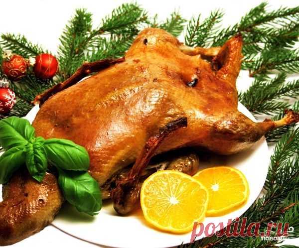 Гусь в духовке с гречкой - пошаговый рецепт с фото на Повар.ру