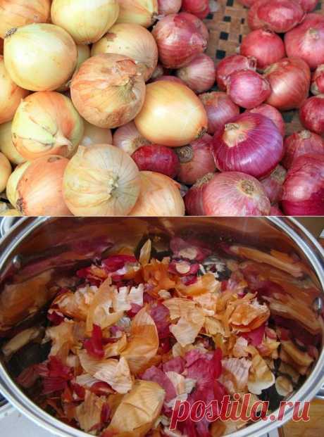 Семь причин никогда не выбрасывать луковую шелуху / Будьте здоровы