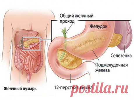 Лечение поджелудочной железы народными средствами
