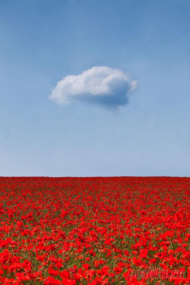 Минимализм заключается не в отсутствии чего-либо, а в идеальном его количестве. Фото, на которых нет ничего лишнего: