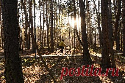 Фитнес-эксперт назвала идеальные виды спорта для занятий на улице осенью. Фитнес-эксперт Светлана Бутова назвала идеальные виды спорта для тренировок на улице осенью. Специалист посоветовала заняться настольным теннисом, бегом, пешим туризмом, велоспортом и скандинавской ходьбой. Бутова отметила, что после спада летней жары снижается риск внезапного ухудшения самочувствия при нагрузках.