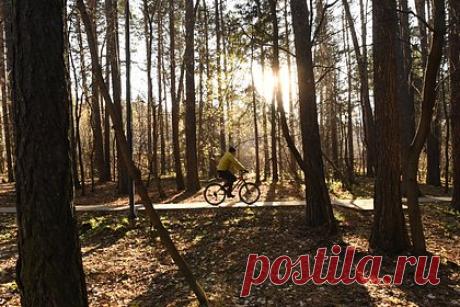 Фитнес-эксперт назвала идеальные виды спорта для занятий на улице осенью. Фитнес-эксперт Светлана Бутова назвала идеальные виды спорта для тренировок на улице осенью. Специалист посоветовала заняться настольным теннисом, бегом, пешим туризмом, велоспортом и скандинавской ходьбой. Бутова отметила, что после спада летней жары снижается риск внезапного ухудшения самочувствия при нагрузках.