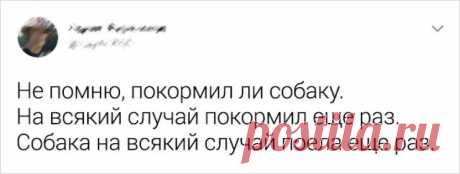 14 человек, для которых любовь к питомцам на втором месте, а к сарказму — на первом . Милая Я