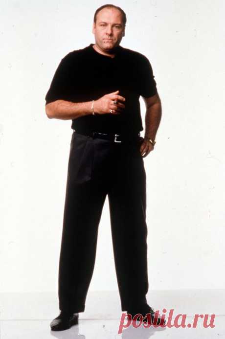 Джеймс Гандольфини, 18 сентября, 1961
 • 19 июня 2013