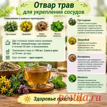 Отвар трав для укрепления сосудов