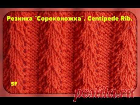 Резинка &quot;Сороконожка&quot; спицами - Вязание - Страна Мам