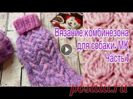 Вяжем комбинезон для собаки. Мастер-класс. Часть 1. Пряжа, как снимать мерки, расчеты, начало вязания....
