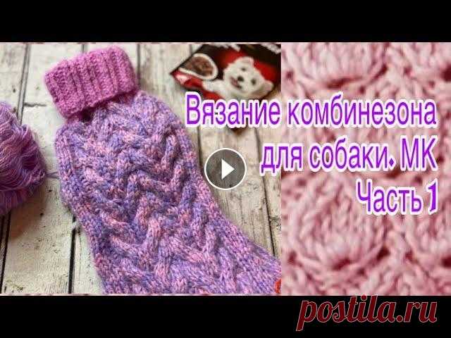 Вяжем комбинезон для собаки. Мастер-класс. Часть 1. Пряжа, как снимать мерки, расчеты, начало вязания....