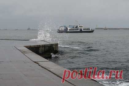 В Севастополе приостановили движение морского транспорта. В Севастопольской бухте временно остановили движение морского пассажирского транспорта. Об этом сообщила дирекция по развитию дорожно-транспортной инфраструктуры российского города в Telegram-канале. Там не указали причин приостановки и не сообщили, будут ли организованы компенсационные маршруты.