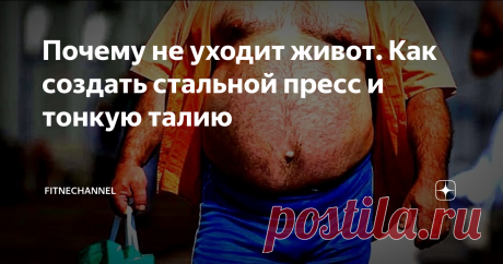 Почему не уходит живот. Как создать стальной пресс и тонкую талию Многие мужчины, а также представительницы прекрасного пола для того, чтобы сделать свой живот...